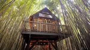 Why rent a cabin in atlanta? Netflix The World S Most Amazing Vacation Rentals Complete List Of Properties