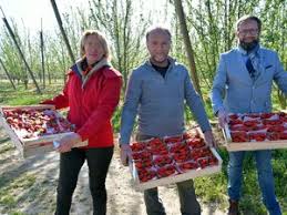 Photo Sorties Bourran - ladepeche.fr