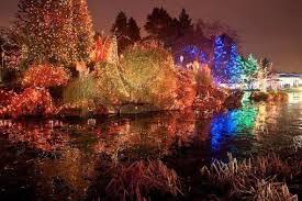 Festival Of Bellevue Botanical Garden Christmas Light Bellevue Wa Festival Lights Holiday Lights Christmas Lights