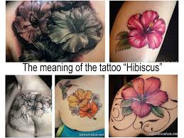 Maybe you would like to learn more about one of these? The Meaning Of The Tattoo Hibiscus History Photo Drawings Sketches Facts