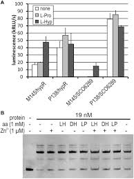 On nearly every pack of yeo valley you buy there's a special code which you can redeem online for yeokens. Frontiers A Gntr Like Transcription Factor Hypr Regulates Expression Of Genes Associated With L Hydroxyproline Utilization In Streptomyces Coelicolor A3 2 Microbiology
