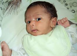 Adam Muhamad LEVY ®