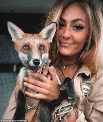 Adorable and unlikely friendship sees fox and hound snuggle and play  together