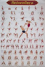 Muay Thai Kick Boxing Collection For Training Technical Martial Art Set Poster Home Garden Hom In 2020 Martial Arts Styles Best Martial Arts Martial Arts Workout