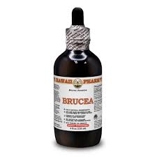 Image result for Brucea