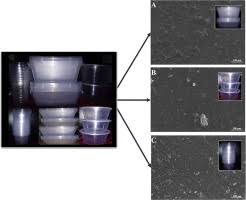 We supply cupcake containers wholesale for busy bakeries, cupcake shops and caterers as well as single clear plastic cupcake containers and packs for individuals. Microplastics From Consumer Plastic Food Containers Are We Consuming It Sciencedirect