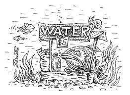 Gallery of the Best World Cartoon-Part 1872