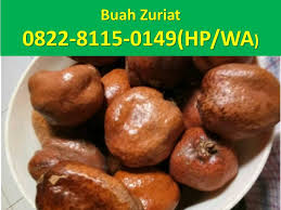Dan apa manfaatnya buat kesehatan serta cara. Jual Buah Zuriat Kembar 0822 8115 0149 Home Facebook