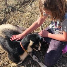 Profile for Teton River Ranch