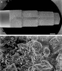 We have minute, hourly, daily candle & tick/trade data in addition to orderbook snapshots. Biological And Medical Significance Of Calcium Phosphates Dorozhkin 2002 Angewandte Chemie International Edition Wiley Online Library