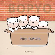 They'll provide you details about the puppy to ensure that it will fit your lifestyle and family. Adopt Free Puppies Animal Shelter Puppy Box Pup Box Cute Dogs