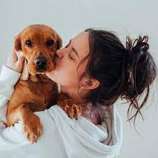 Esta raza de perro considerada adorable es la más agresiva según un  reciente estudio (incluso más que un rottweiler)