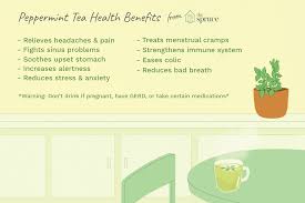 Drinking tea may help keep the doctor away. What Is Peppermint Tea Benefits Uses Recipes