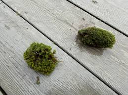 Image result for site:byggahus.se massor