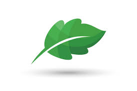 Leaf Vector Logo Graphic By Hartgraphic Creative Fabrica