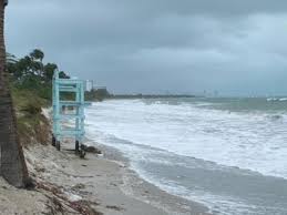 windy