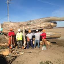 Work at atlas tree service? Atlas Tree 44 Photos 81 Reviews Tree Services 1544 Ludwig Ave Santa Rosa Ca United States Phone Number