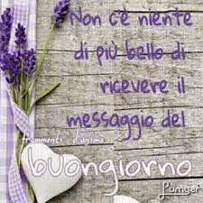 Pin Di Giuliana Salvi Su Gif Video Buongiorno Immagini Citazioni Buongiorno
