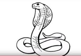 90+ dogs, cats, horses and wild animals is written and illustrated by p. How To Draw A Cobra Step By Step Easy Easy Animals To Draw