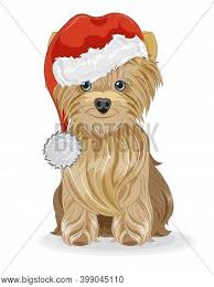 Christmas animals christmas dog christmas pictures vintage christmas labrador noir black labrador retriever christmas drawing. Merry Christmas New Vector Photo Free Trial Bigstock