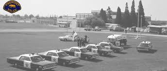 Image result for Dark Olive 1990 US Government