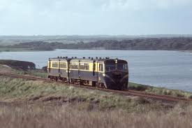 31rm And 54mt Are Running The Morning Up Wonthaggi Rail Motor Service Taken Between Dalyston And Kilcunda 27 August 1977 P Train Travel Rail Car Old Photos