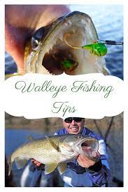 Best Time To Fish For Walleye Fish Walleye Walleye Fishing