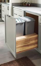 Kitchen Cabinet Storage Solutions Diy Kitchen Renovation Storage Kitchen Storage