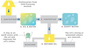 Carrier Oils What Are Carrier Oils Uses Benefits For