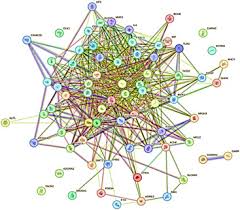 Image result for Kedrostis abdallai