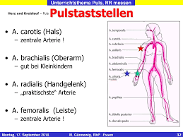 Herz Kreislauf Puls Und Blutdruck Messen Ppt Herunterladen