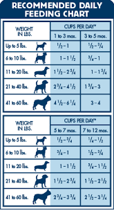 46 Particular Food Chart For Puppies