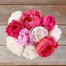 Check spelling or type a new query. Next Day Flower Delivery Flowers Delivered Tomorrow The Bouqs Co