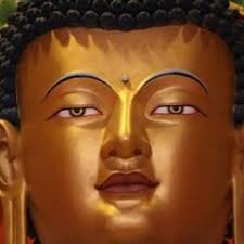 Stream The Universe in a Single Atom by Dalai Lama, read by Richard Gere by  PRH Audio