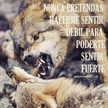 Pin De Vladimir Mascaro En Lobos Luna Frases De Lobos Imagenes De Lobos Lobos