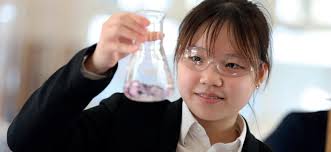 Personalised Study Support