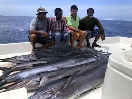 Catching a red sniper or a grouper near from the reef is easy. Season Paradise Big Game Fishing Seasons Activities Maldives