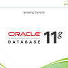 Select oracle database 11g express edition. 1