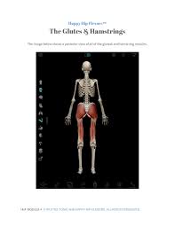 The Glutes Hamstrings Speaker Deck