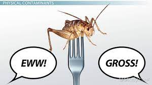 While most people believe there are only three types of contamination. Types Of Food Contamination Video Lesson Transcript Study Com