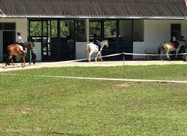 Who knew you could get an awesome iftar spread at a country club for less than rm100? Horse Riding Lessons Happy Go Kl