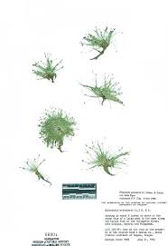 CPNWH Search Results