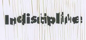 Interdisciplinary study is a logical candidate for developing specific, whole, complex systems to study such phenomena. Indiscipline Palais De Tokyo En