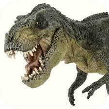 Whether you have a science buff or a harry potter fanatic, look no further than this list of trivia questions and answers for kids of all ages that will be fun for little minds to ponder. Quiz Game For The Jurassic Park Movies Including Questions About Jurassic World And General Knodwledge Facts About Dinosaurs Amazon Com Appstore For Android
