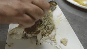 What&aposs your favorite way to cook fresh fish? Fish Pez Peixe Gif Find On Gifer