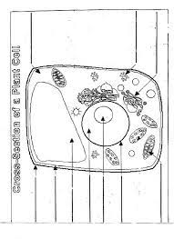 5th grade science and biology. Blank Animal Cell Diagram To Label Pensandpieces Coloring Home