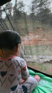 making memories together 🏕️✨