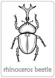 This download is available to members only. Animals Rhinoceros Beetle Coloring Pages Book