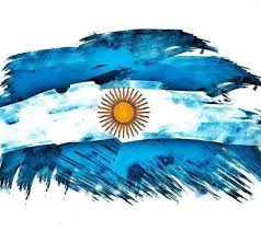 Ícono del logotipo de facebook de dibujos animados. Pin De Virginia Fortunato En Argentina Tatuaje Argentina Imagenes De Bandera Argentina Bandera Argentina