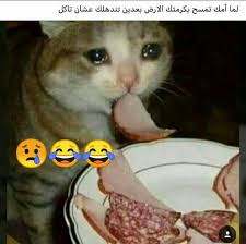 كلو الا الاكل Fun Quotes Funny Anime Funny Funny Picture Jokes